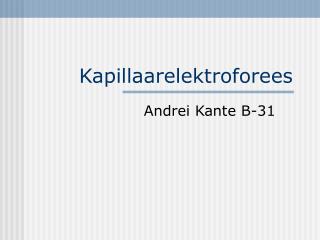 Kapillaarelektroforees