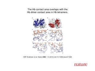 CBF Andersen et al. Nature 000 , 1-4 (2012) doi:10.1038/nature11369