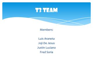 T3 Team