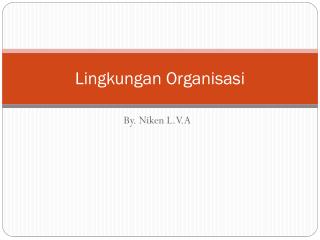 Lingkungan Organisasi