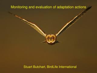 Monitoring and evaluation of adaptation actions