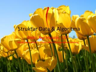 Struktur Data &amp; Algoritma