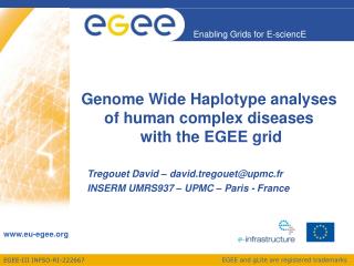 Genome Wide Haplotype analyses of human complex diseases with the EGEE grid