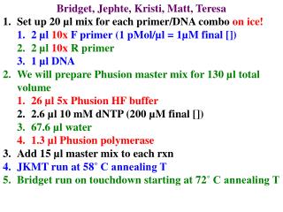 Bridget, Jephte, Kristi, Matt, Teresa Set up 20 µl mix for each primer/DNA combo on ice!