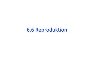 6.6 Reproduktion