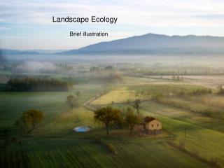 landscape definition ecology