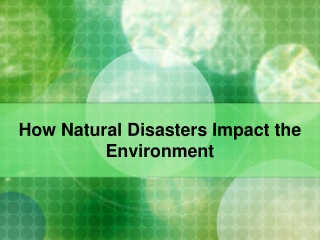 How Natural Disasters Impact the Environment