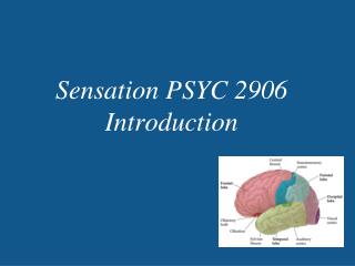 Sensation PSYC 2906 Introduction