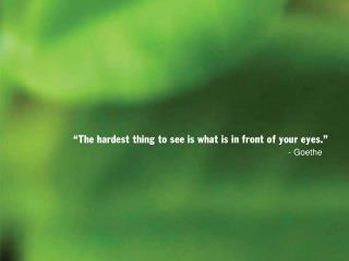 “The hardest thing to see is what is in front of your eyes.”