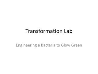 Transformation Lab