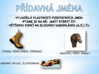 PŘÍDAVNÁ JMÉNA