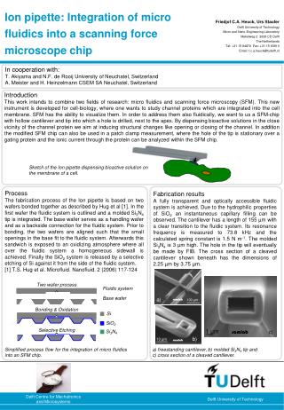 Ion pipette: Integration of micro fluidics into a scanning force microscope chip