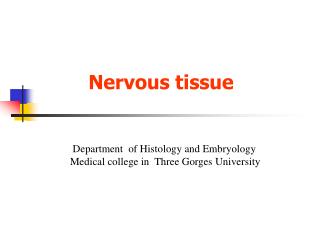 Nervous tissue