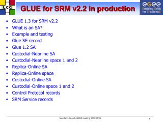GLUE for SRM v2.2 in production