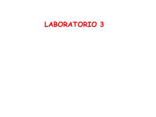 LABORATORIO 3