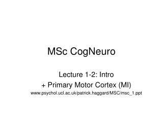 MSc CogNeuro