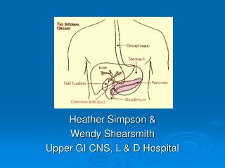 Heather Simpson &amp; Wendy Shearsmith Upper GI CNS, L &amp; D Hospital