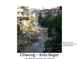 Ciliwung – Kota Bogor * dari powerpoint-nya Anita S. Arif : “ Ciliwung -C”