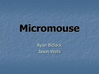 Micromouse