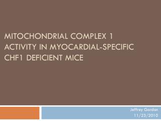 MITOCHONDRIAL COMPLEX 1 ACTIVITY IN MYOCARDIAL-SPECIFIC CHF1 DEFICIENT MICE