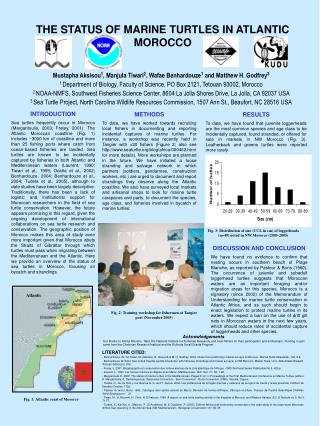 THE STATUS OF MARINE TURTLES IN ATLANTIC MOROCCO