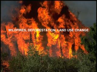 WILDFIRES, DEFORESTATION, LAND USE CHANGE