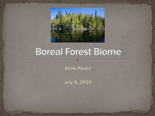 Boreal Forest Biome