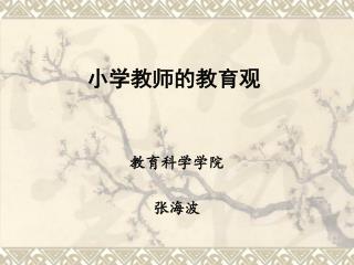 小学教师的教育观