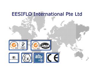 EESIFLO International Pte Ltd