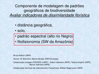 distância geográfica, solo, padrão espectral (alto rio Negro) fitofisionomia (SW da Amazônia)