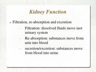 Kidney Function