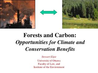 Forests and Carbon: Opportunities for Climate and Conservation Benefits