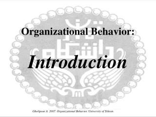 Organizational Behavior: Introduction