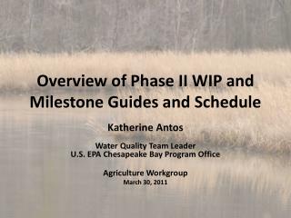 Overview of Phase II WIP and Milestone Guides and Schedule