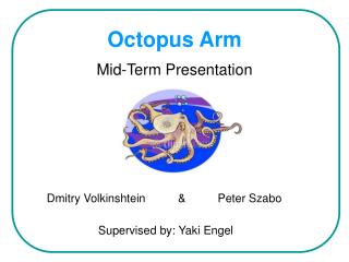 Octopus Arm