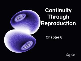 Continuity Through Reproduction