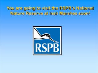 You are going to visit the RSPB’s National Nature Reserve at Insh Marshes soon!