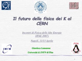 Il futuro della fisica dei K al CERN