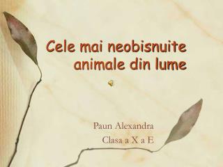 Cele mai neobisnuite animale din lume