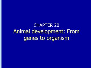 CHAPTER 20 Animal development: From genes to organism