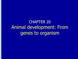 CHAPTER 20 Animal development: From genes to organism