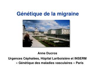 Génétique de la migraine