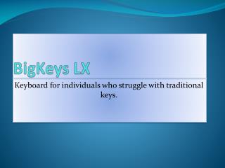 BigKeys LX