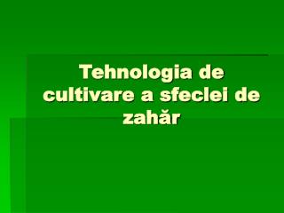 Tehnologia de cultivare a sfeclei de zahăr