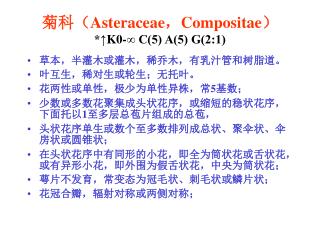 菊科（ Asteraceae ， Compositae ） *↑ K0-∞ C(5) A(5) G(2:1)