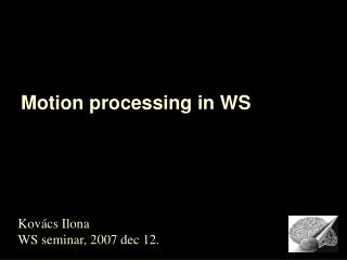 Motion processing in WS