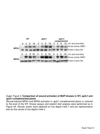 Suppl. Figure 3