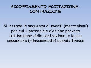 ACCOPPIAMENTO ECCITAZIONE-CONTRAZIONE