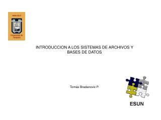 INTRODUCCION A LOS SISTEMAS DE ARCHIVOS Y BASES DE DATOS Tomás Bradanovic P.