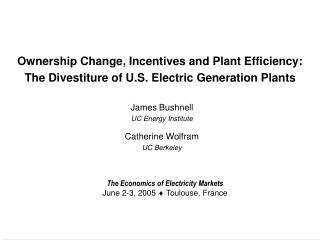 Ownership Change, Incentives and Plant Efficiency: